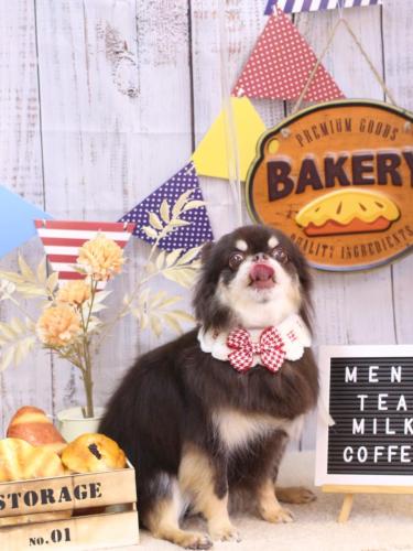 20240905フェルくん